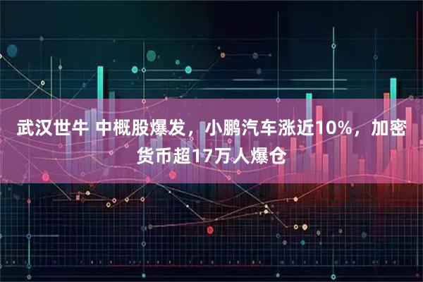 武汉世牛 中概股爆发，小鹏汽车涨近10%，加密货币超17万人爆仓
