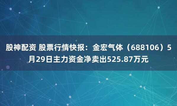 股神配资 股票行情快报：金宏气体（688106）5月29日主力资金净卖出525.87万元