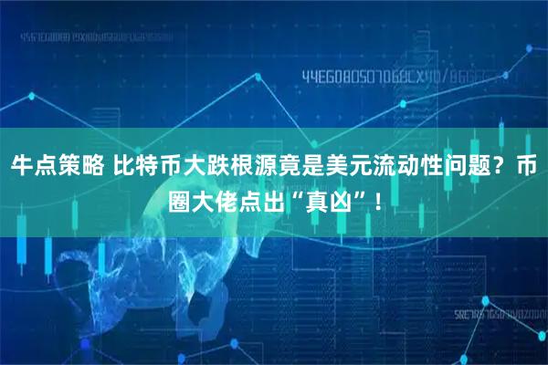 牛点策略 比特币大跌根源竟是美元流动性问题？币圈大佬点出“真凶”！